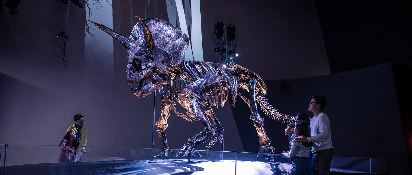 Triceratops: Fate of the Dinosaurs